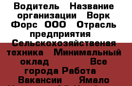 Водитель › Название организации ­ Ворк Форс, ООО › Отрасль предприятия ­ Сельскохозяйственая техника › Минимальный оклад ­ 43 000 - Все города Работа » Вакансии   . Ямало-Ненецкий АО,Ноябрьск г.